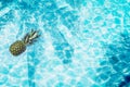 Pool float, ring floating in a refreshing blue swimming pool with palm tree leaf shadows in water Royalty Free Stock Photo