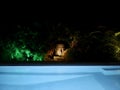 Pool and Garden Decorative Statue at Night Royalty Free Stock Photo