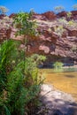 Pool and green vegetation at bottom of Dales Gorge Fortescue Falls Karijini National Park Royalty Free Stock Photo