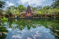 The pool of holy springs with fish at Pura Tirta Empul, Bali Indonesia.