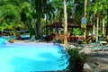 Pool among lush vegetation in Jamaica