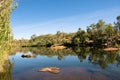 Pool at Manning Gorge, Australia