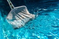 Pool Net Leaf Skimmer Rake in summer Royalty Free Stock Photo