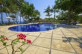 Pool, ocean, palm trees and flower in the foregrou