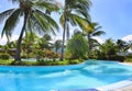 Pool and palm trees