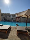 Pool and palm trees on site in egypt Royalty Free Stock Photo