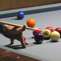 Pool player 01 Royalty Free Stock Photo