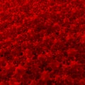 Pool of red germs, bacteria Royalty Free Stock Photo