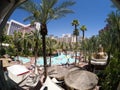 Pool Scene at the Flamingo Casino and Hotel L.V. Royalty Free Stock Photo
