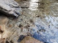 Pool at Silver Run Falls with mica