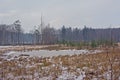 Pool in a snow covered heath landscape with forest on a hazy winter day