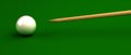 Pool stick