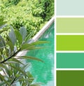 Pool a top view. color palette swatches. pastel hues