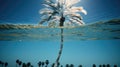 pool transparent palm tree Royalty Free Stock Photo