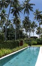 The pool under palm trees on the seashore, Bali, Indonesia Royalty Free Stock Photo