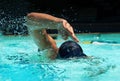 Pool, water splash and athlete swimming in sport for competition, race or training in cardio. Fitness, workout and Royalty Free Stock Photo