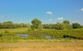 Pool in a wetland landscape trees in Kalkense Meersen nature reerve, Flanders, Belgium Royalty Free Stock Photo