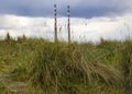 Poolbeg Towers, Ringsend, Dublin Royalty Free Stock Photo