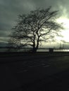 Poolbeg towers