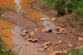 POOLED MUDDY WATER IN A DEEP WIDE DITCH WITH ROCKS