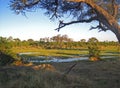 POOLED RAINWATER IN AFRICAN WILDERNESS AREA Royalty Free Stock Photo