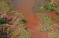 POOLED WATER AND SATURATED MUDDY EARTH Royalty Free Stock Photo