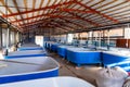 Pools for breeding sturgeon fish on fish farm Royalty Free Stock Photo