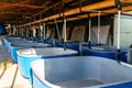 Pools for breeding sturgeon fish on fish farm Royalty Free Stock Photo
