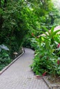 Tabacon Hot Springs, Costa Rica Royalty Free Stock Photo