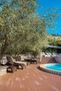 Poolside deck chairs under olive trees