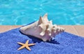 Poolside holiday scenic conch shell towel Royalty Free Stock Photo