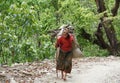 Poonhill, Neapl- Aprli 2015 : the old woman carries stuff in the