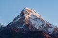 Poonhill view of Annapurnas. Warm pink and orange sunrise light over Annapurna mountain range with blue sky and beautiful clouds Royalty Free Stock Photo