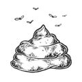 Poop with flies sketch engraving vector Royalty Free Stock Photo