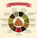 Poop Stool Color Changes Color Chart and Meaning, Healthy Concept Royalty Free Stock Photo