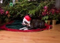 Poopsie Christmas Santa Hat and Tongue