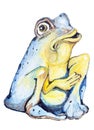 Poor blue frog