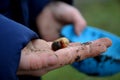 Poor child with dirty little hands holding a bow with a bowl of caterpillar larva larvae. young naturalist or hungry child from wa Royalty Free Stock Photo