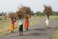 Poor children carrying brushwood Royalty Free Stock Photo