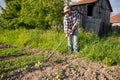 Poor farmer hoeing vegetable garden Royalty Free Stock Photo