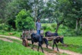 A poor farmer with ox cart in the Paraguayan jungle. Royalty Free Stock Photo