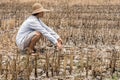 Poor farmer in a rice field during the long drought