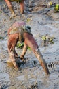 Fisherman is fishing in a muddy pond stock photo