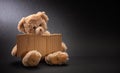 Poor homeless child begging. Teddy bear sad, holding a blank cardboard sign Royalty Free Stock Photo