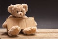 Poor homeless child begging. Teddy bear sad, holding a blank cardboard sign