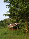 Poor hut in the forest