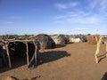 Poor huts in Dassanech village, Omo river, Ethiopia