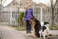 poor little girl with a dog in village Royalty Free Stock Photo