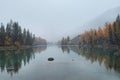 Poor visibility. Fall colors in the snow on a Argut river shore. Altai region