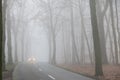 Poor visibility from fog in winter morning: View on german country road through forest with bare trees and headlights of car